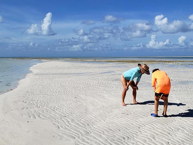 Two people standing on a beach