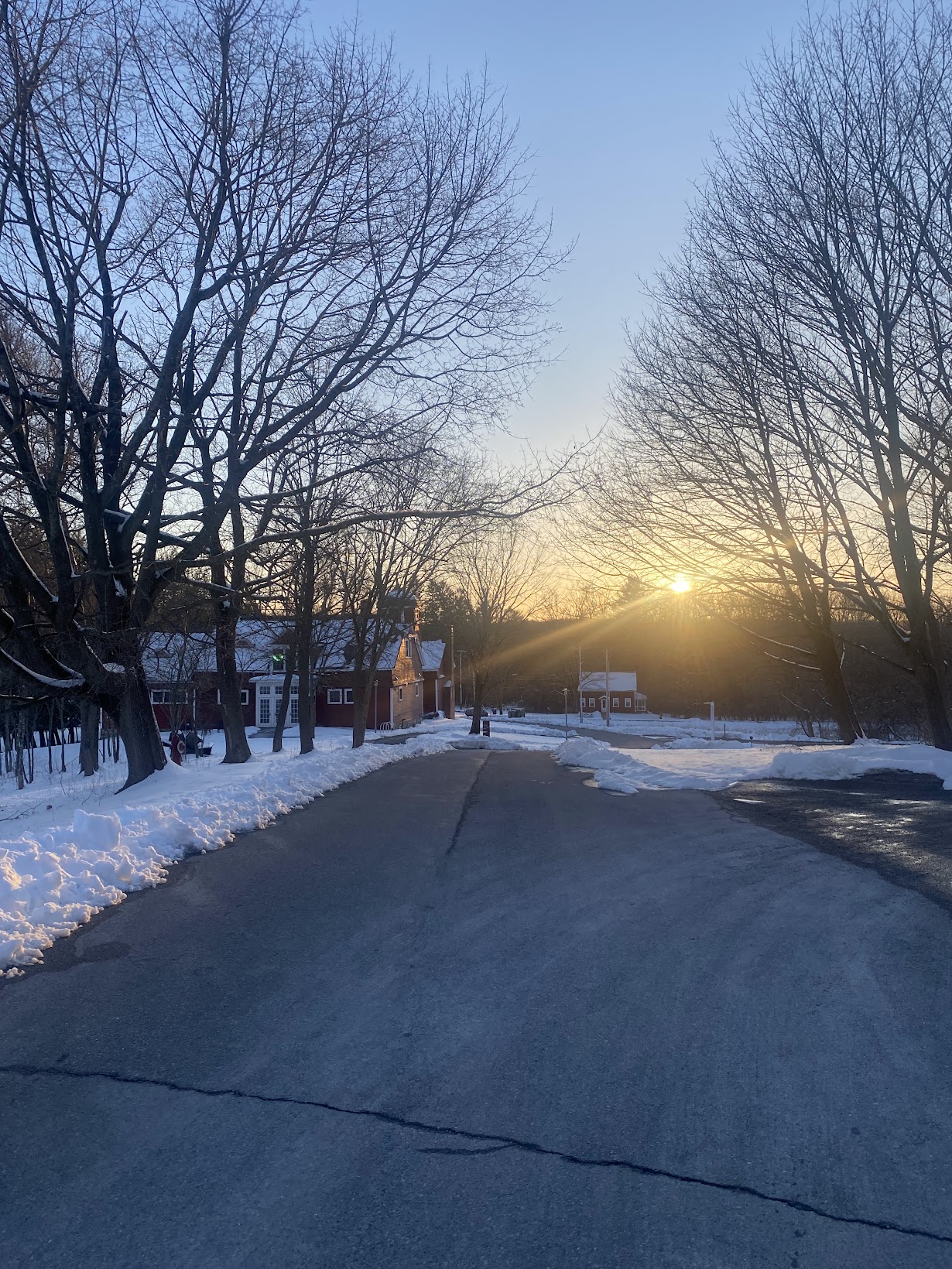 Winter sunset on Bennington's campus, this was my view walking to class frequently to one of the music buildings