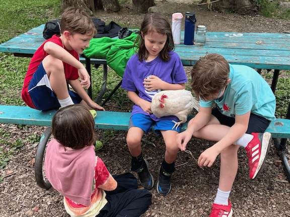 The young people of Chagrin Valley Learning Collective get hands on with a chicken