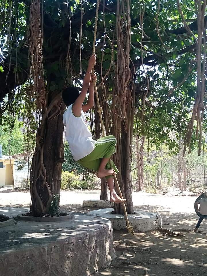 Photo of author climbing a vine hanging from a tree